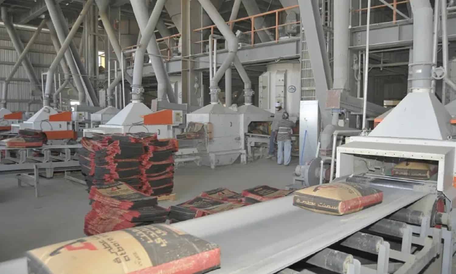 اسمنت سيناء تتحول إلى الربحية بختام 2024